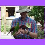 Bob Feeding Three  Lorikeets.jpg